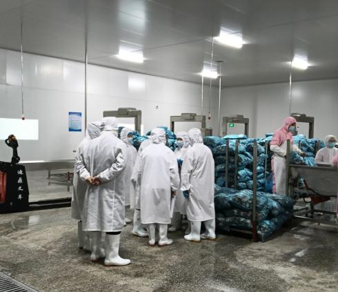 泰國TEE客戶到訪隆鑫健達(dá)分公司進行驗廠